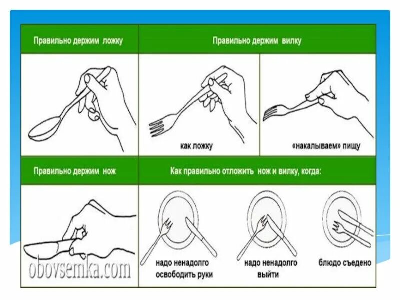 Как правильно держать ложку этикет. Правила пользования столовыми приборами для детей. Как правильно держать ви. Как правильно держать вилку.