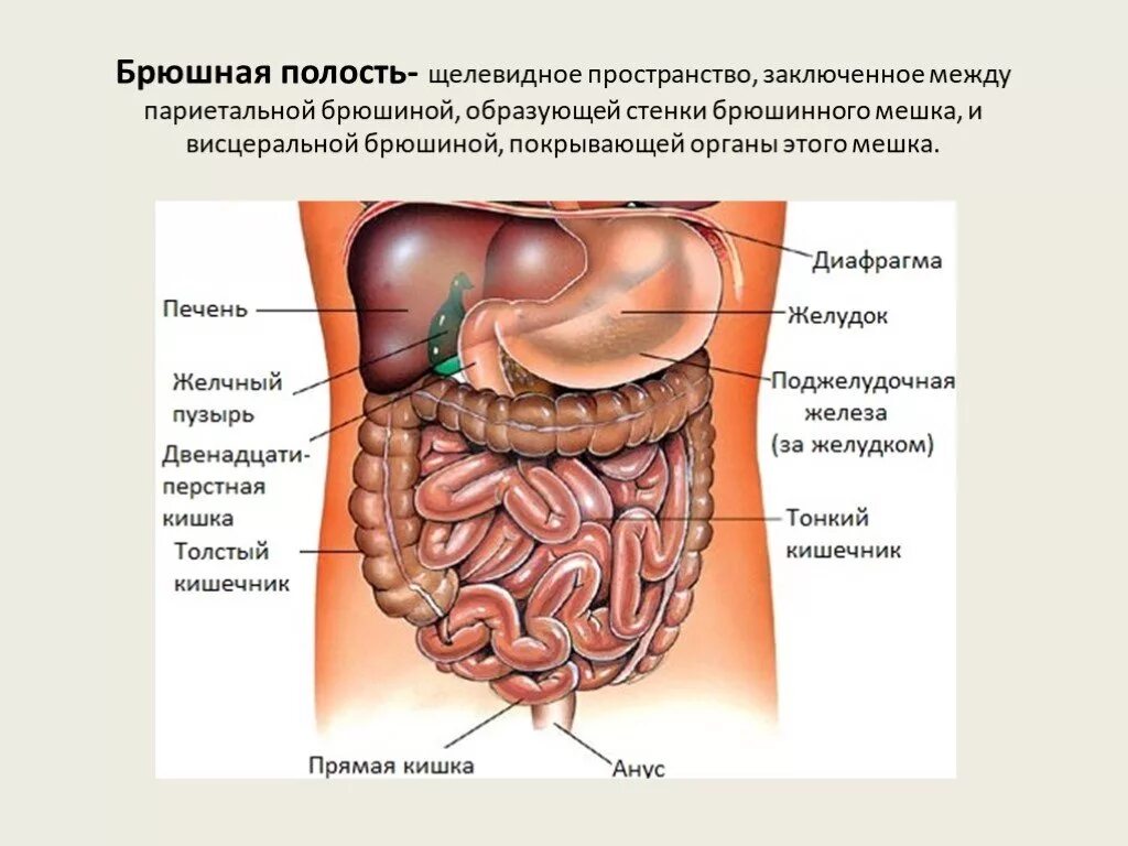 Находится в самом низу. Находится в самом низу