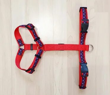Анатомическая шлейка