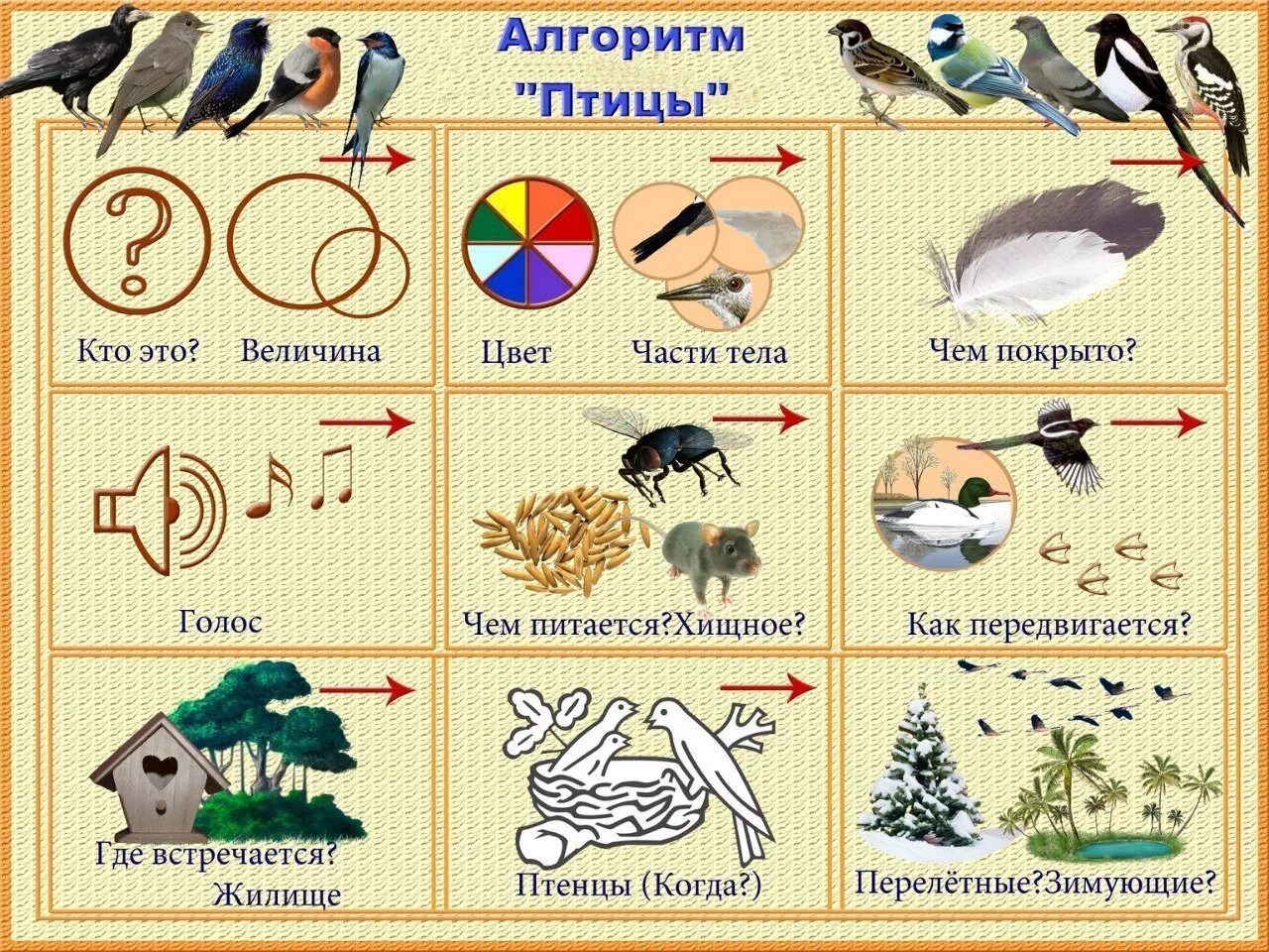 Тема хто