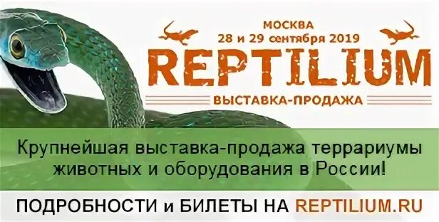 Рептилиум билеты. Рептилиум выставка москва. рептилиум 2025 москва. рептилиум 2025 санкт-петербург.