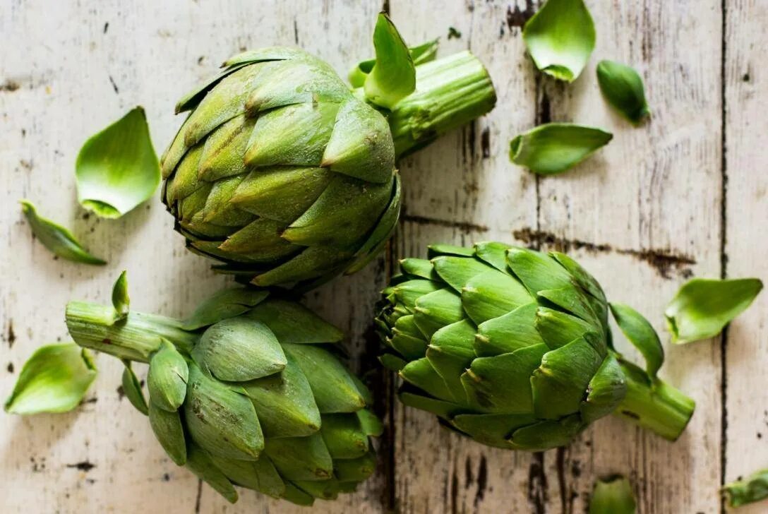 Артишок 8350. Артишок куст. Семена артишок гурман. Артишок красавец. Артишок спб.