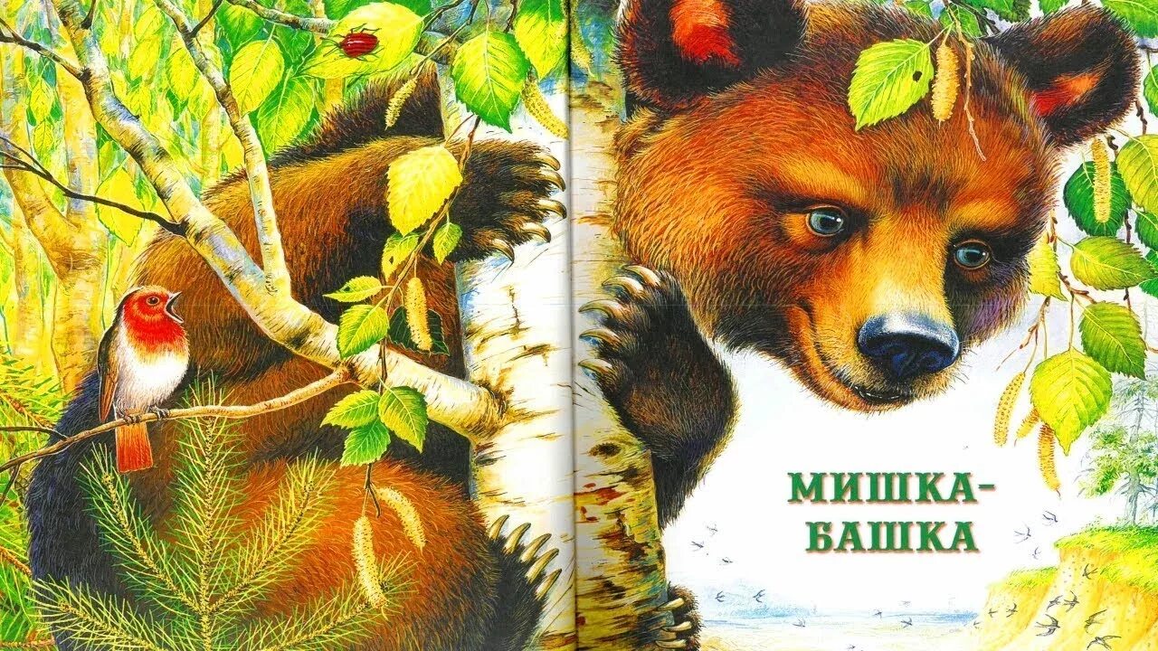 Сказка в в Бианки мишка башка. Детские книги Бианки про животных. Бианки рассказы для детей. Рассказы бианки картинки