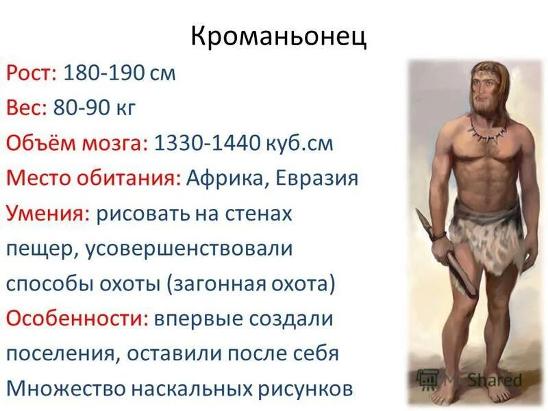 кроманьонец особенности. характеристика образа жизни кроманьонцев. кроманьонец образ жизни. кроманьонец человек разумный разумный. современные люди исторический возраст.