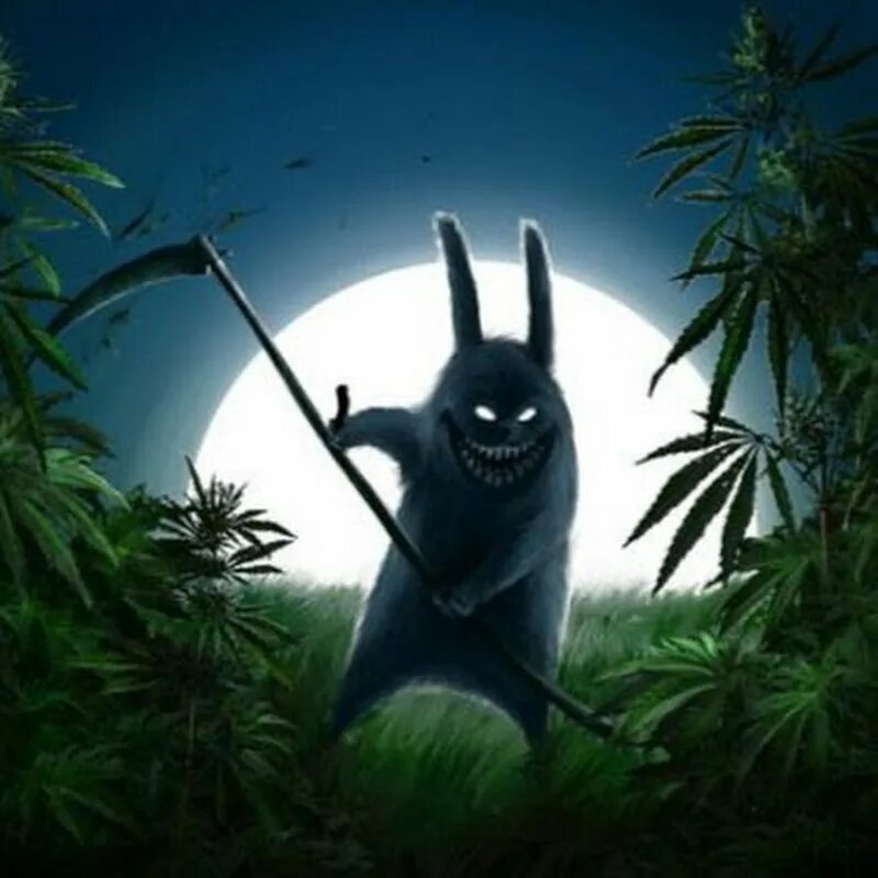 Зайцы косят траву. Заяц. Зайцы косят траву. Заяц косит. Заяц косит.