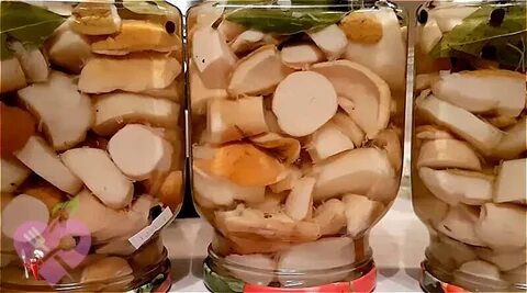 Маринуют ли белый гриб