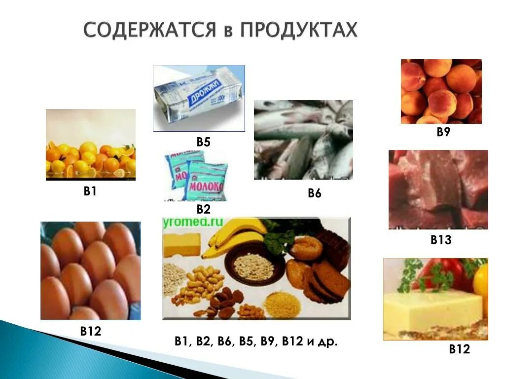 Продукт vi. Продукты содержащие витамины в1 в6 в12. Витамин в6 содержится. Витамины в2 в5 в6. Витамин в12 продукты.