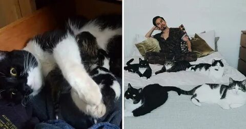 Женщина родила котят