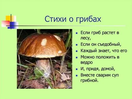 Стихи про грибы короткие