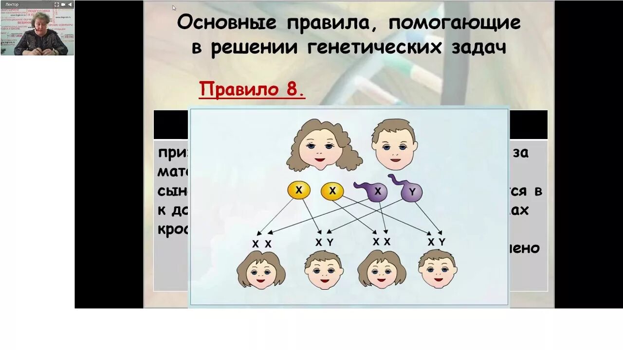 Тест по решению задач генетики. Генетика задания. генетика задачи. генетика егэ биология. генетика егэ.