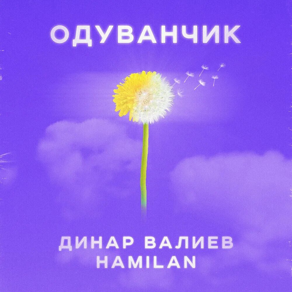 Альбом одуванчик. Одуванчики песня. Твой одуванчик. Одуванчики песня про десантников.