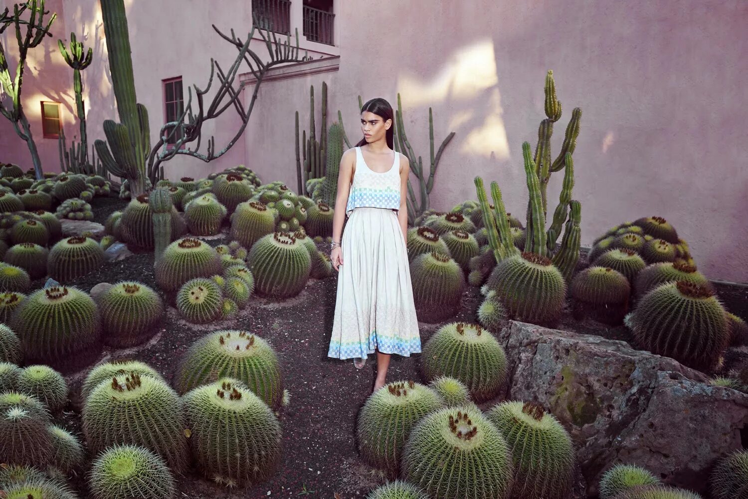 Cactus in a scarf wellerman. Девушка с кактусом. Фотосессия с кактусом. Девушка среди кактусов. Девушка с кактусом в руке.