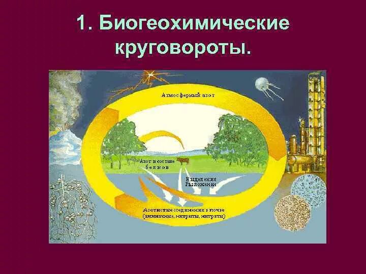 Биогеохимический (малый) круговороты веществ. Глобальный биогеохимический круговорот. Биогеохимический цикл водорода схема. Биогеохимические круговороты в биосфере. Биогеохимический цикл углерода.