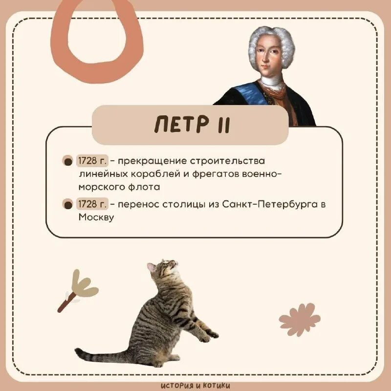 история котиков егэ