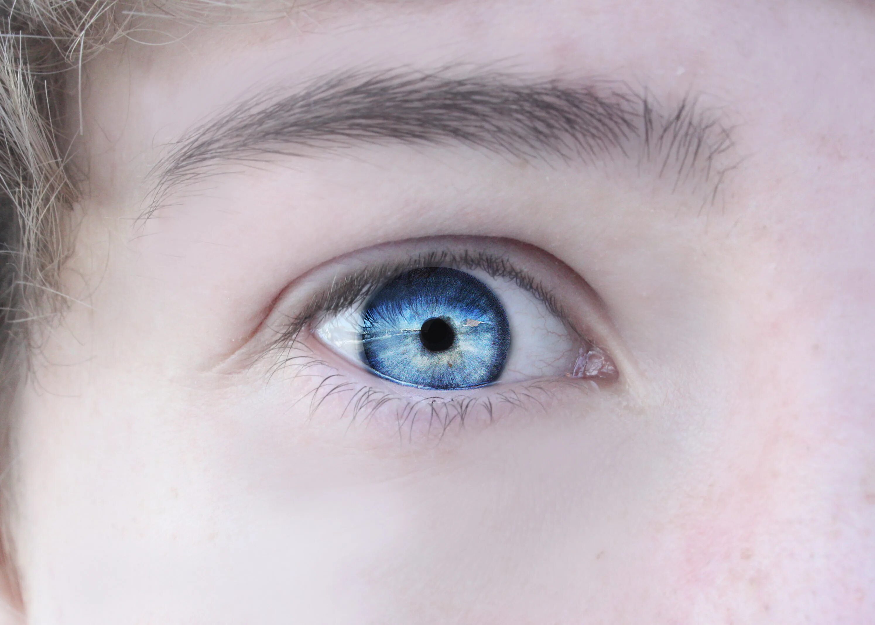 Серо голубоглазая. Голубой цвет глаз. Голубоглазые глаза. Серо синие глаза. Серо голубые глаза.
