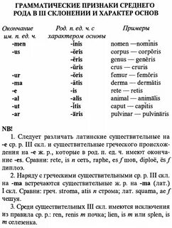 Как определить род существительных в латинском языке