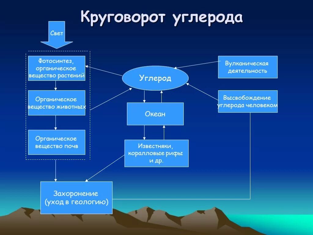 Круговорот углерода химия 9 класс. Круговоротуолерола в природе. Как происходит круговорот углерода. Круговорот углерода схема. Схема биогеохимического круговорота углерода.