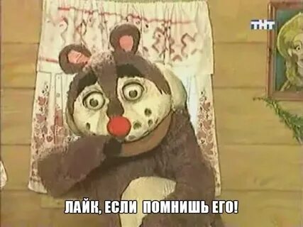 Медведь дурак