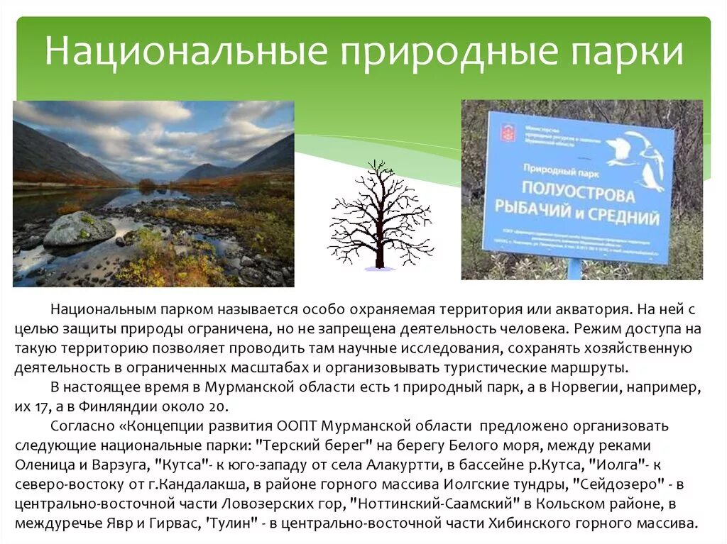 Особенности природных парков. Национальный парк охраняемая природная территория которая. Природный национальный парк определение. Природные парки это определение. Заповедник национальный парк.