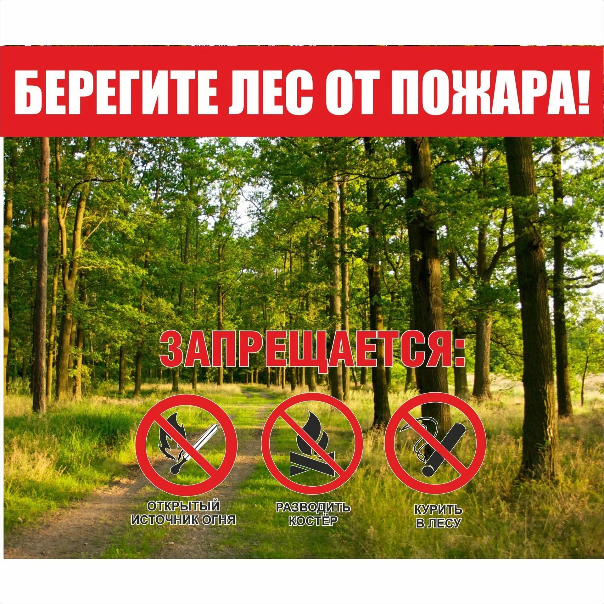 Фотосессия в лесу. Обои лес солнце. Табличка в лесу. При входе в лес я повернул. При входе в лес я повернул.