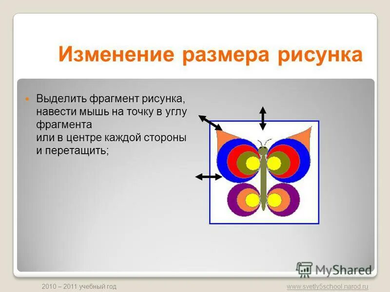 Фрагмент по информатике. Фрагмент рисунка. Фрагмент рисунка. Фрагмент это. Фрагмент рисунка это.
