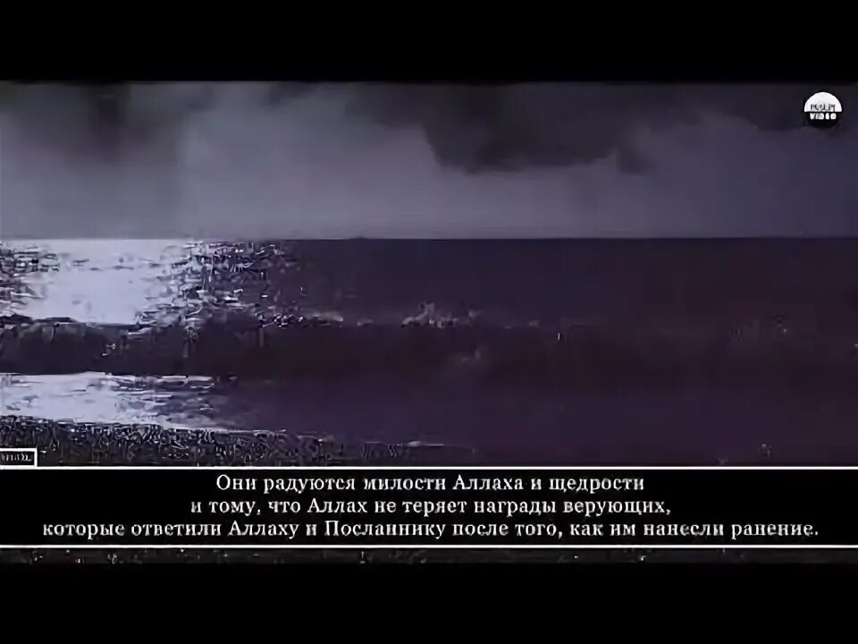 Дождь в исламе. Дождь это милость аллаха. дождь это милость аллаха цитаты. аяты про дождь. дождь в исламе цитаты.