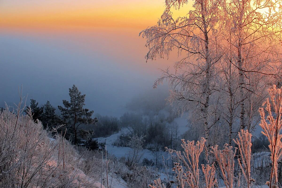 Зимнее утро картинки. Белорусский фотограф Алексей Угальников. Зимний рассвет. Рассвет зимой. Зимнее утро.