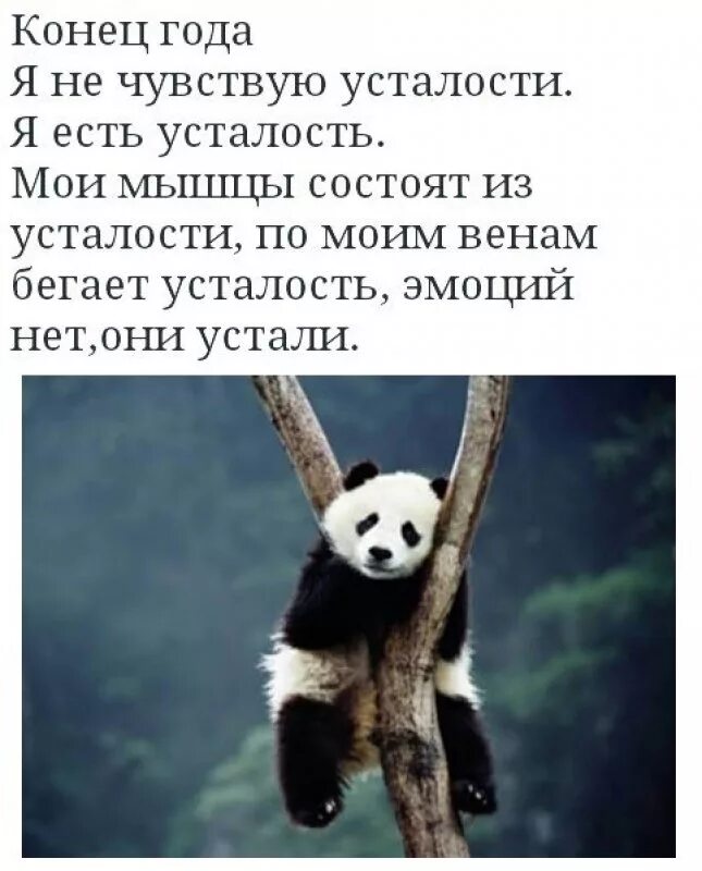 В конец устал. Фразы про усталость. цитаты про усталость. афоризмы про усталость. высказывания про усталость.