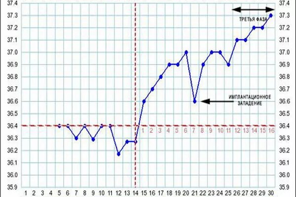 График БТ С имплантационным западением. График базальной температуры с имплантационным западением. БТ имплантационное западение на графике БТ. Западение на графике базальной температуры. Температура после овуляции форум