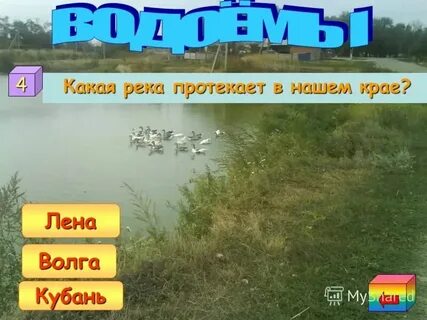 Какие водоемы есть в городе