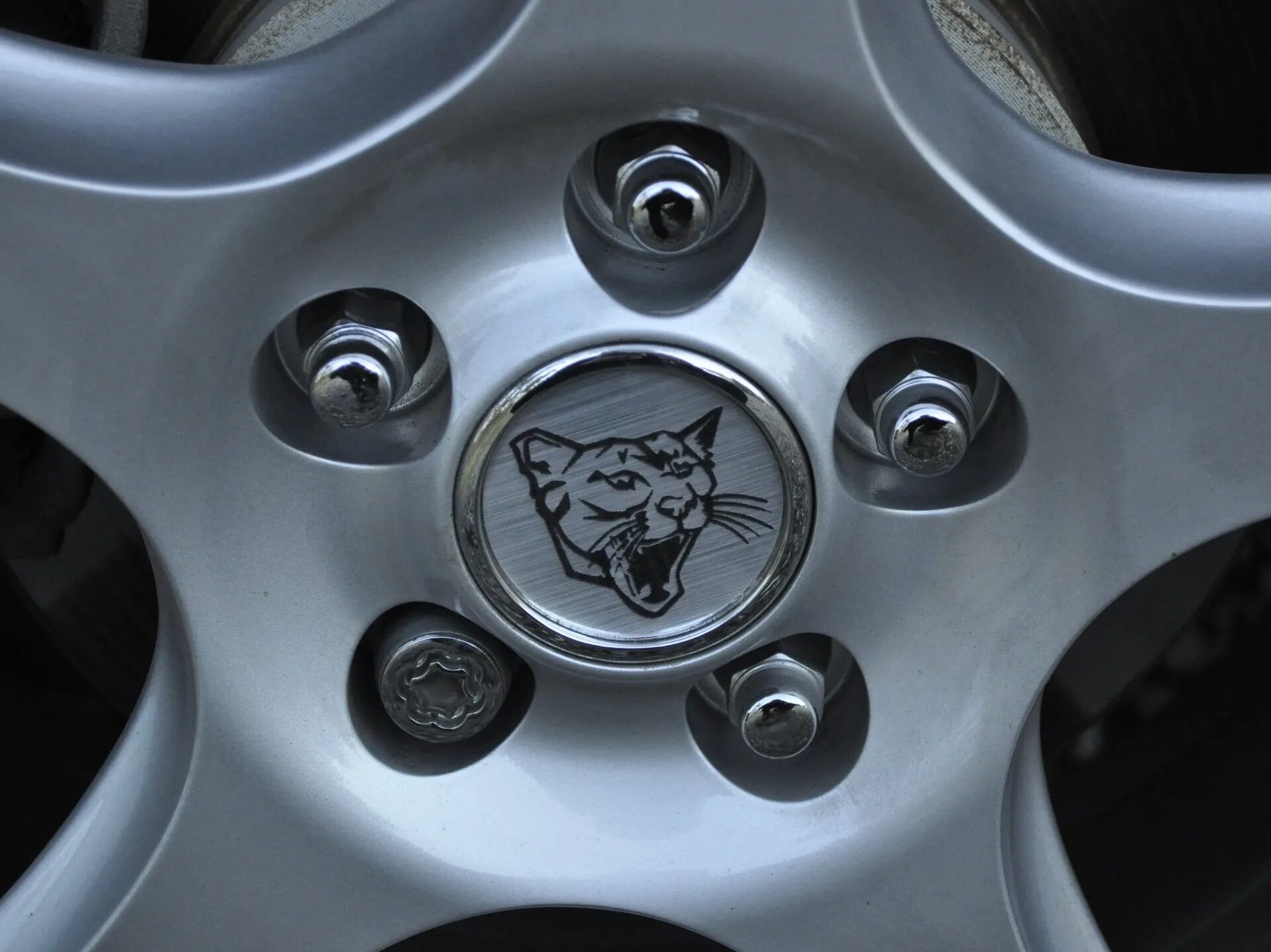 Болт колеса секретка 2110. Секретки 14х1. 25 l22. Секретки 12х1. Fpu11028chx секретки на колеса.