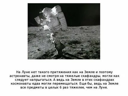 Всюду где только лес был пореже лежали