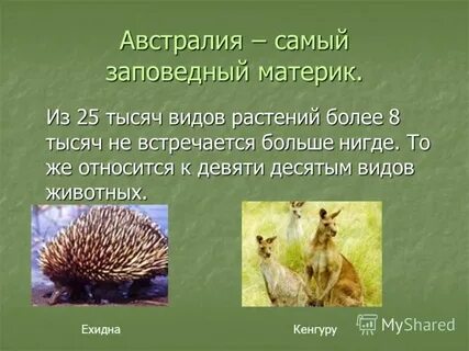 Маленький материк