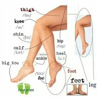 Как переводится с английского foot