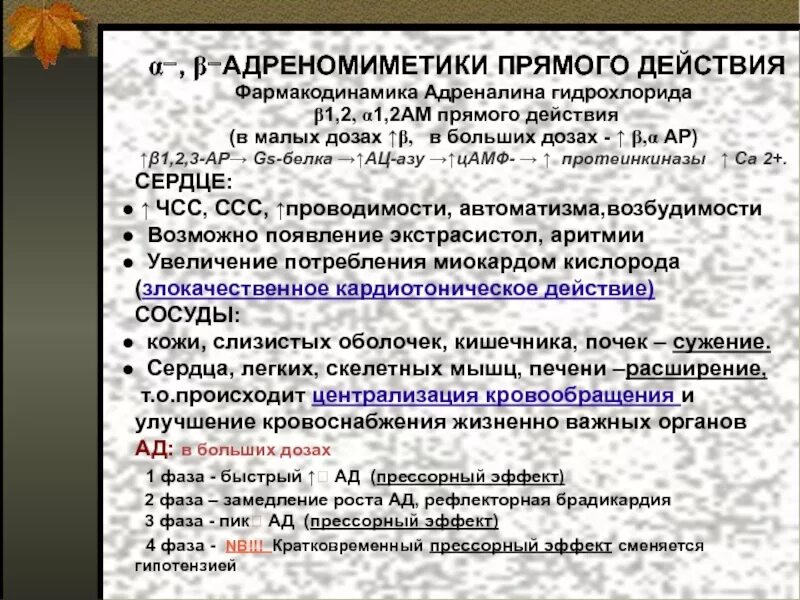 Является документом прямого действия. Адреномиметик прямого действия. Адреномиметики непрямого действия. Адреномиметики прямого действия препараты. Адреномиметики прямого действия эффекты.