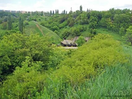 Мухиной балке