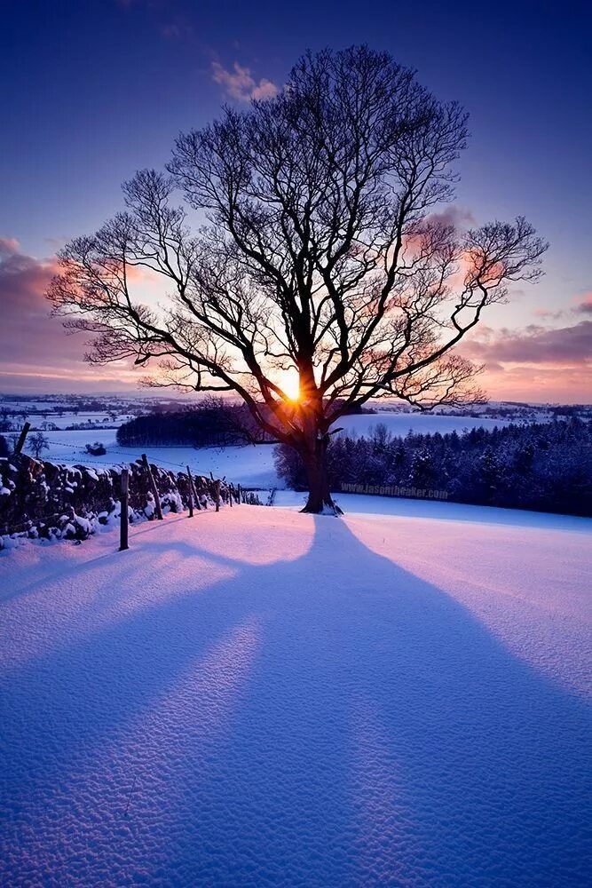 Зимний закат. Зимний рассвет. Природа. Зимняя сказка закат снег. Is winter beautiful