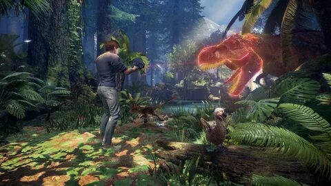 Para ark