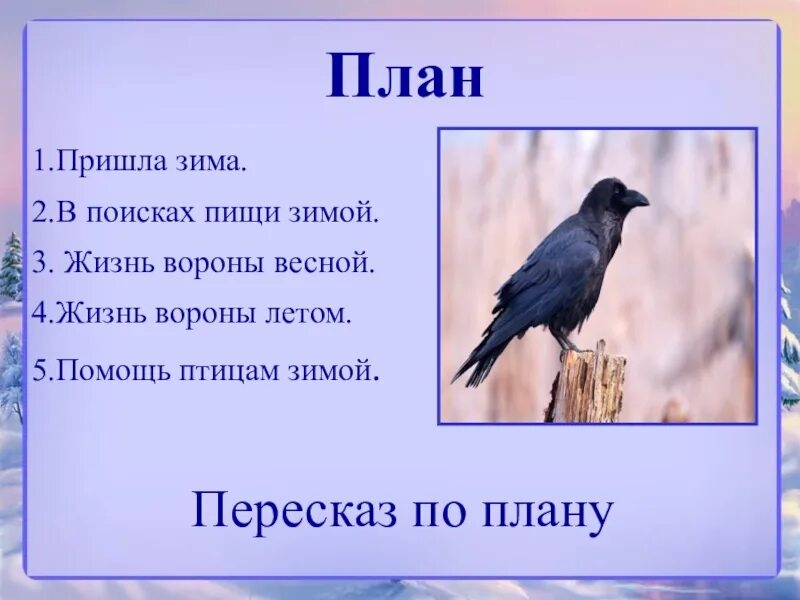 Жила ворона в заколоченном на зиму. Ворона 3 класс. Изложение ворона. План рассказа ворона. Стихотворение про ворону.