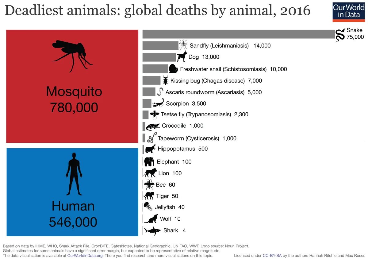 Animal data. Статистика опасных животных. Рейтинг опасных животных. Рейтинг опасных существ для человека. Опасные животные статистика.