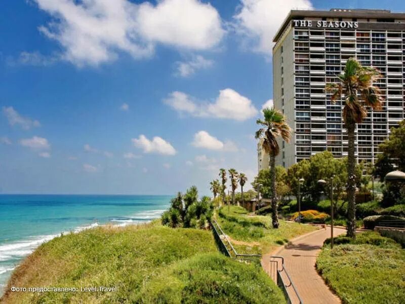 Моня 48 нетания. Гинот ям нетания. vert netanya.