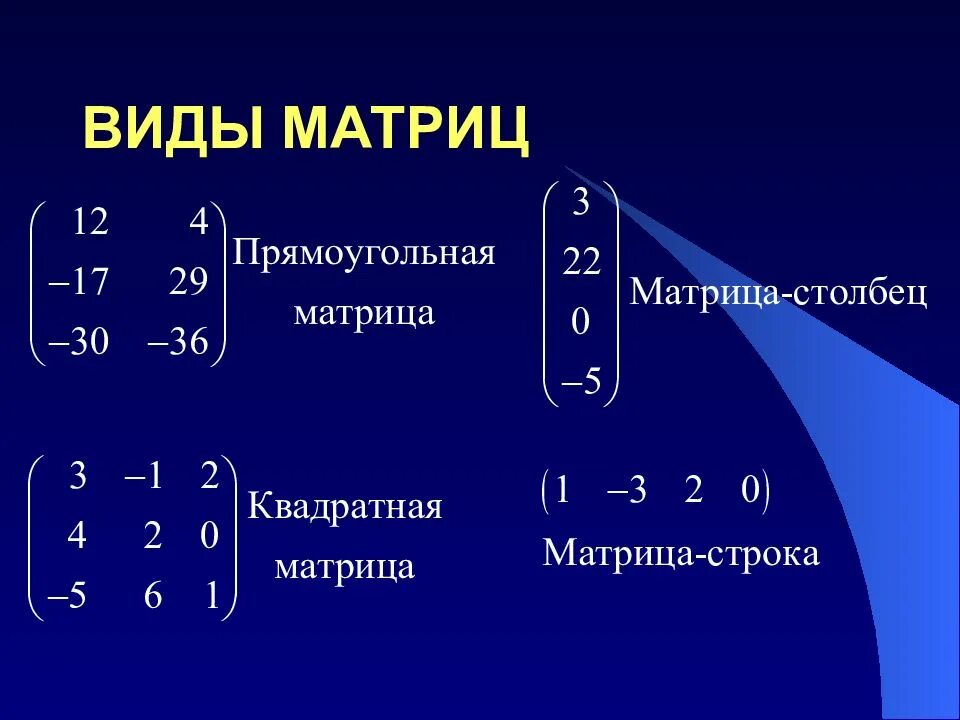 Матрица 1 кратко. Матрица с 1 столбцом. 1. матрицы. виды матриц. действия с матрицами.. общий вид матрицы. понятие матрицы столбца.