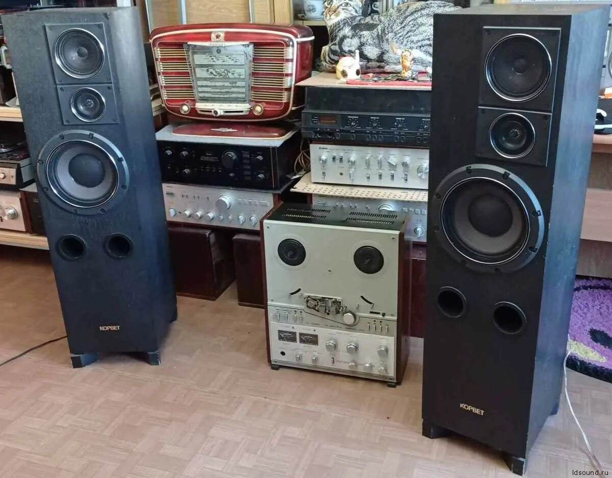 Корвет акустика 150ас. Колонки корвет 180ас-001. Аса 180. Аса 180. Ас корвет 180ас-001.