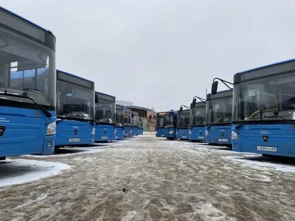 Автобус 5 тверь
