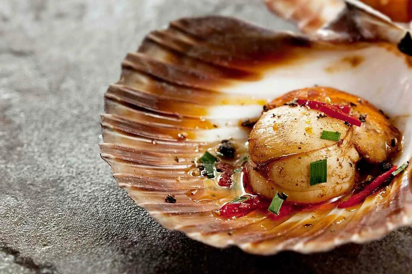 Морской гребешок Scallops. Морской гребешок Бутчер. Морские гребешки Франция ресторан. Морской гребешок Шелл. Рецепт запеченные ракушки