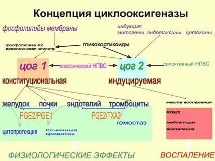 Гку цогу