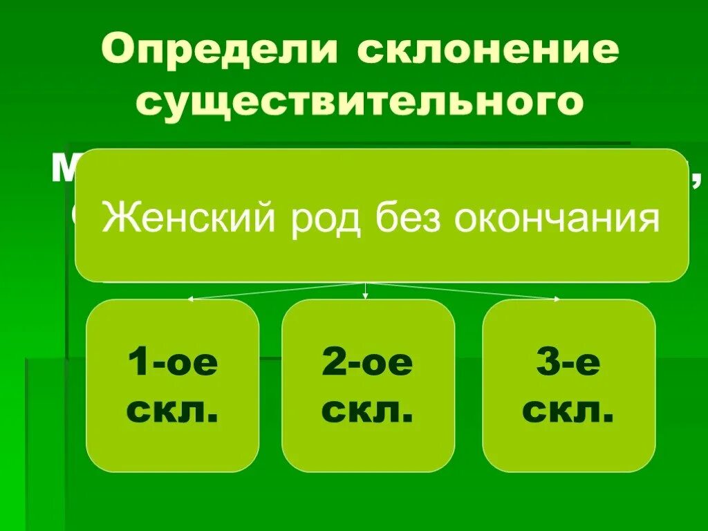 1 склонение имен существительных мужской род. Склонение существительных. Склонение имен существительных. Склонение существительных женского рода. Определить склонение существительных 4 класс.