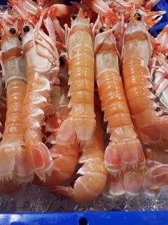 Большие морепродукты