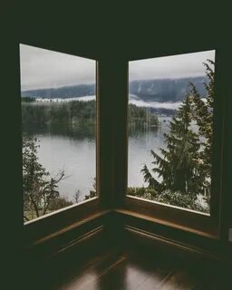 Окна в лес