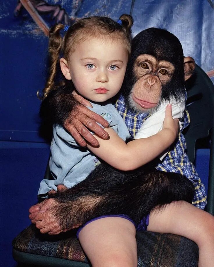 Шимпанзе девушку. Девушка обезьянка. Обезьяна для детей. Обезьянка с детьми. Ребенок шимпанзе.